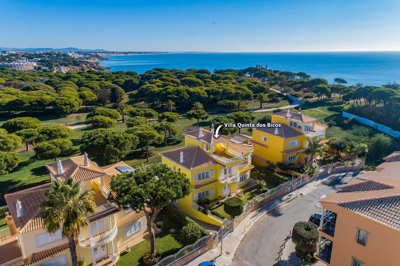 Villa Quinta Dos Bicos By Villa Plus 알부페이라 외부 사진